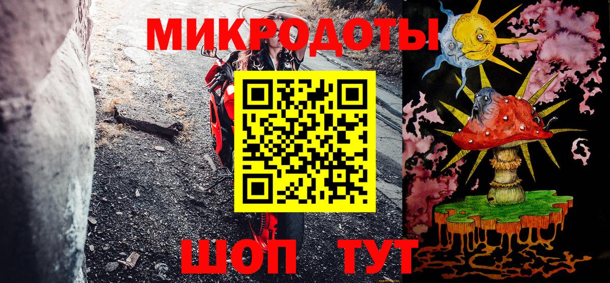 Псилоцибиновые грибы Psilocybe  Вход с VPN  Лосино-Петровский 